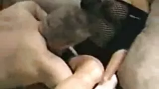 Gubernators nodarbojas ar seksu ar vēlētāju. sexa iepazisanas