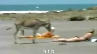 Blondīne fucks Un Bezdelīgas seksa piedāvājumi drauga cum.