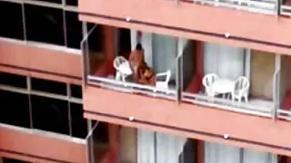 Drātē anālajā Busty. seksa cats